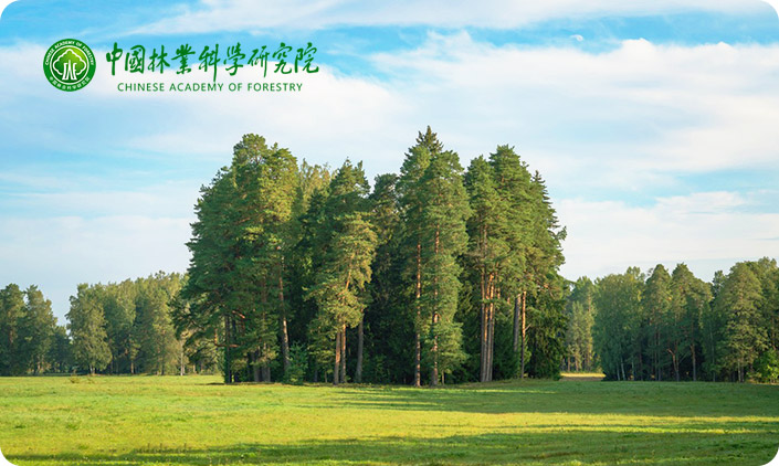 尚品中國承接中國林業(yè)科學(xué)研究院網(wǎng)站建設(shè)項目